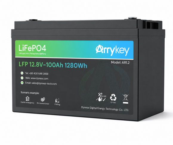 Dyness LR1.2 Dyness LR1.2