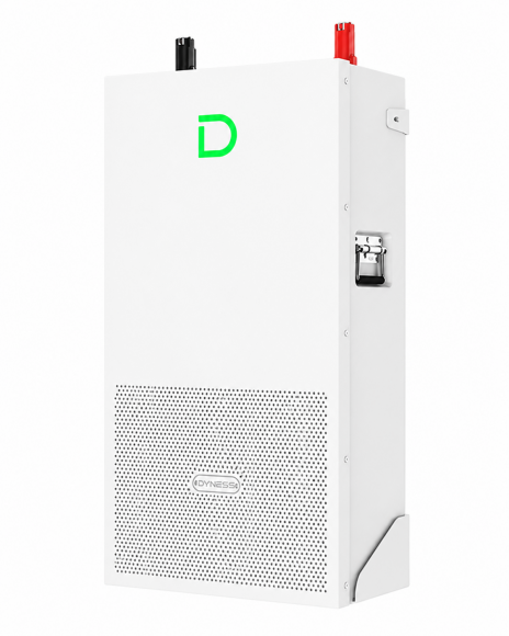 Dyness PowerBrick Pro